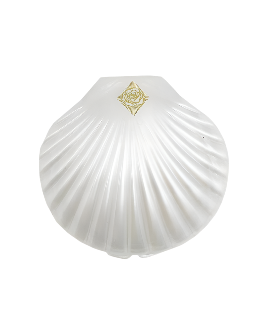 Seashell Compact