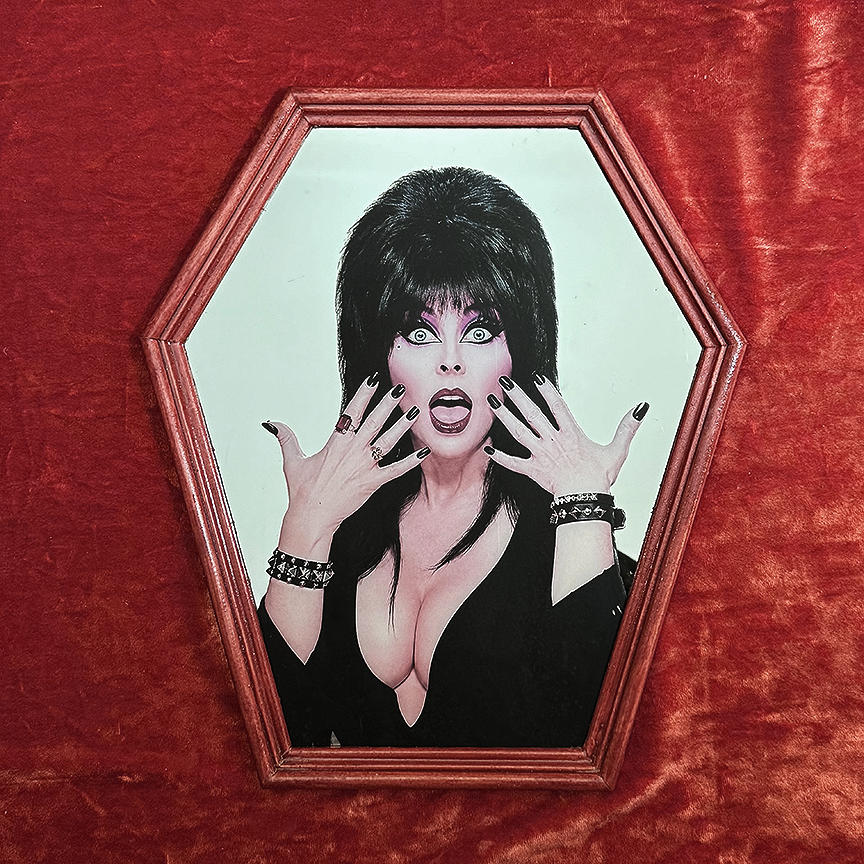 Elvira Coffin Shaped Mirror