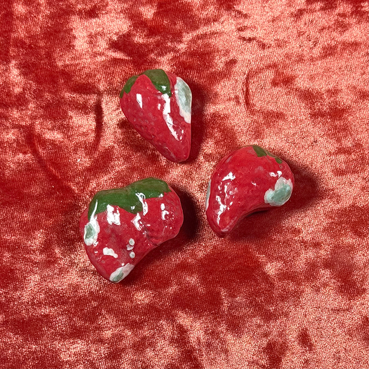 Ceramic Moldy Strawberry Magnets